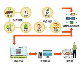 二維碼的妙用 食品溯源全面打造 舌尖上的安全