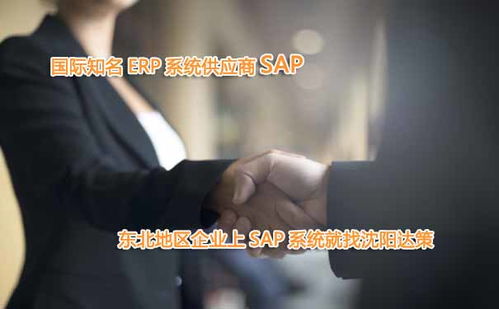 大慶erp軟件公司 大慶sap erp系統開發商 就選達策信息